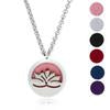 20 Styles Premium Aromatherapy Essential Oil Diffuser Necklace Locket Pendant, 316L Stainless Steel Jewelry with 24&quot; Chain and 6 Pads